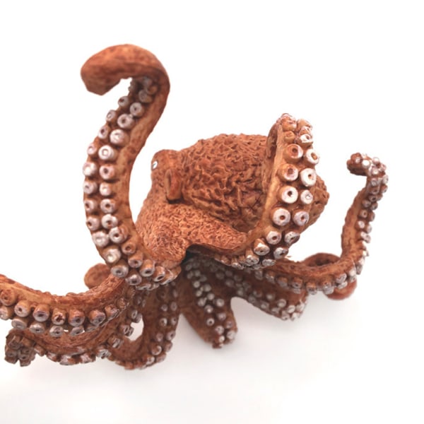 Realistisk bläckfisk Modell Fiskfigur Fina akvarietillbehör Miniatyr PVC-staty Klassrumsrekvisita Tillbehör Vetenskapsleksak