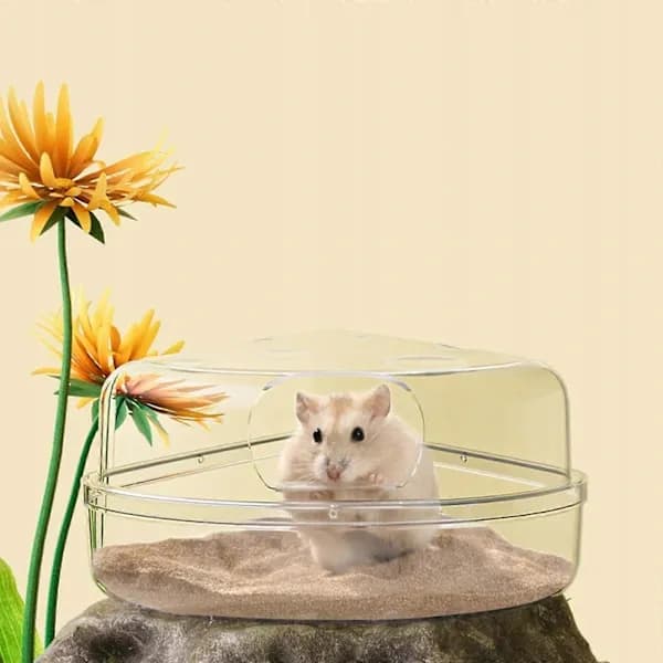 [SZ]Hamster Sandbad Beholder Badehus Pool Til Mus