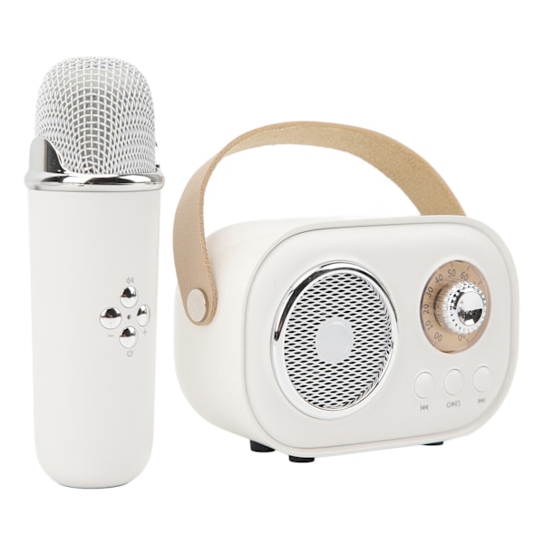 Uppladdningsbar handhållen karaokemaskin med Bluetooth-högtalare (vit)