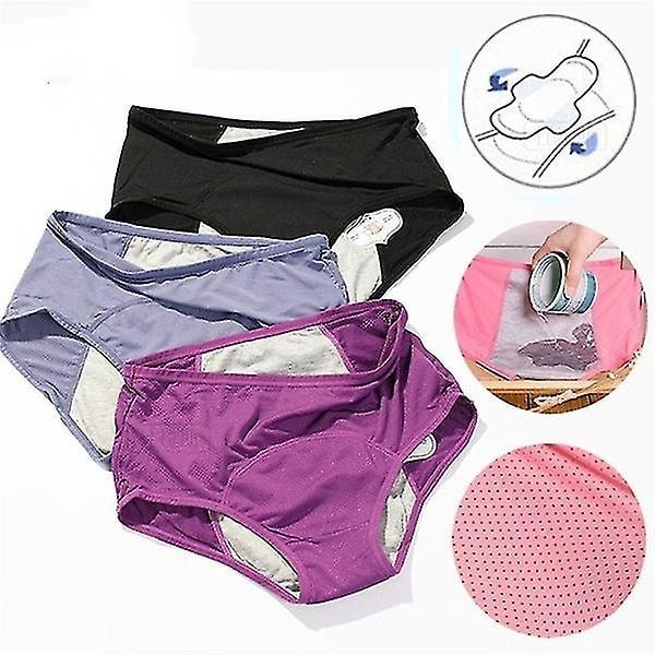 Leak-proof Menstrual Period Warm Skirt Pants - 4 Pairs for Women 2XL B