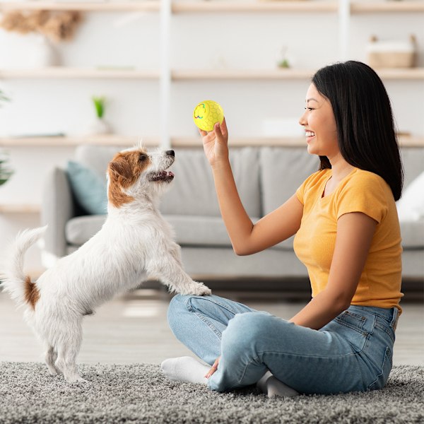 Hunde Bold Legetøj Smart Interaktiv Genopladelig Automatisk Rullende Bold 2,2 Tommer