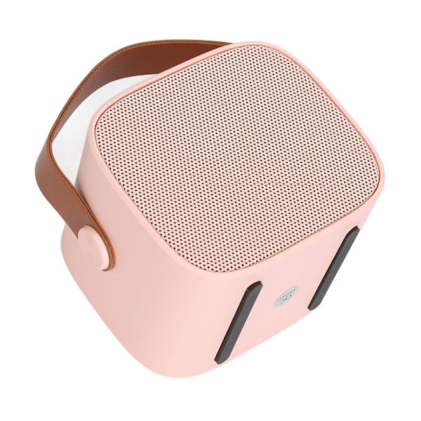 Bärbar Mini Karaoke Bluetooth-högtalare med 2 trådlösa mikrofoner - Rosa