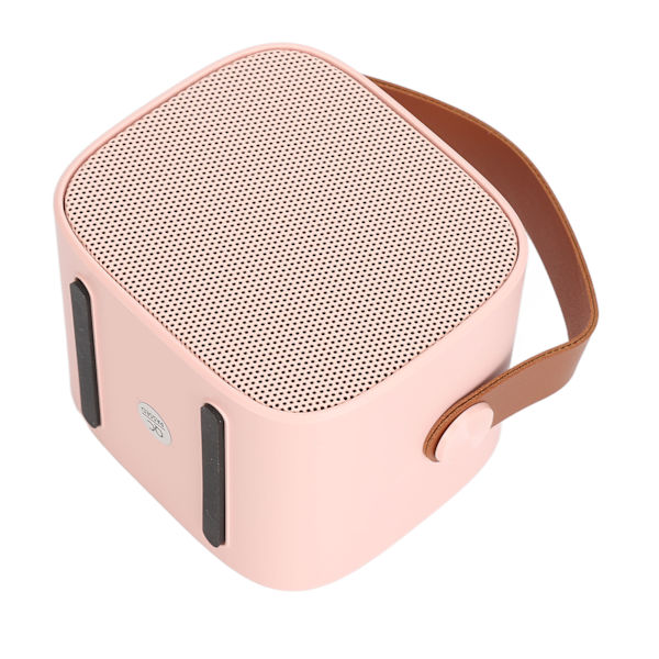 Bärbar Mini Karaoke Bluetooth-högtalare med 2 trådlösa mikrofoner - Rosa