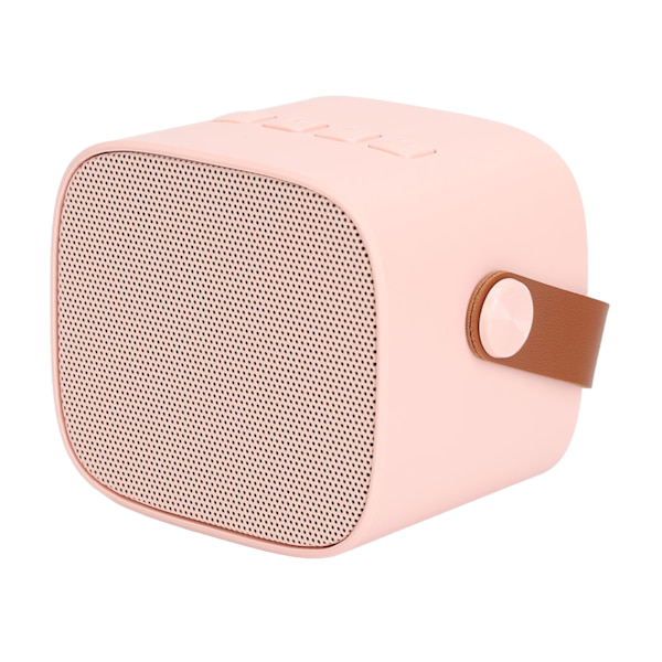 Bärbar Mini Karaoke Bluetooth-högtalare med 2 trådlösa mikrofoner - Rosa