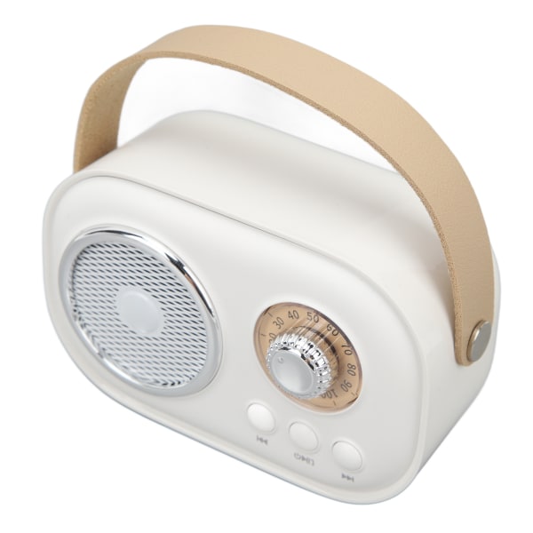 Genopladelig håndholdt karaokemaskine med Bluetooth-højttaler (hvid)