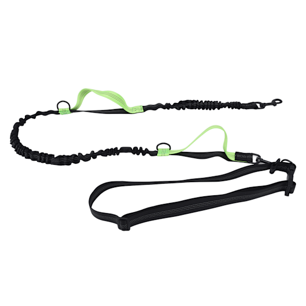 Pet Leash Reflective Retractable Portable Adjustable Dog Traction Rope for Pets Dogs Green