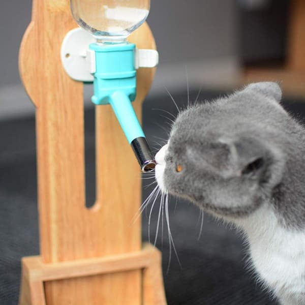 Kattvattendispenser i massivt trä, stativ för husdjursvattendispenser