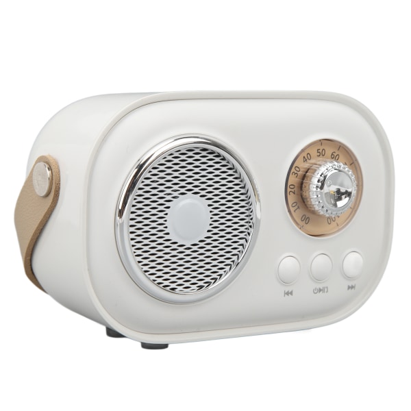 Oppladbar håndholdt karaokemaskin med Bluetooth-høyttaler (hvit)