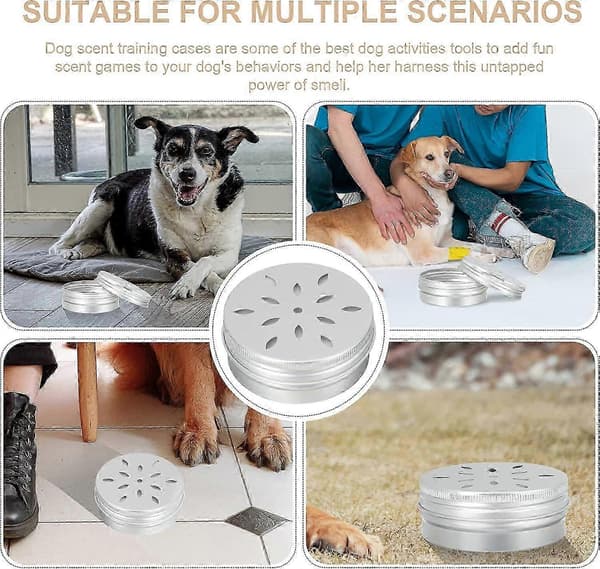 Hunde Arbeidsbokser, 10 stk. Hunde Lukttreningsholder Hunde Lukttreningsboks Hunde Lukttreningsverktøy Lukttreningsboks