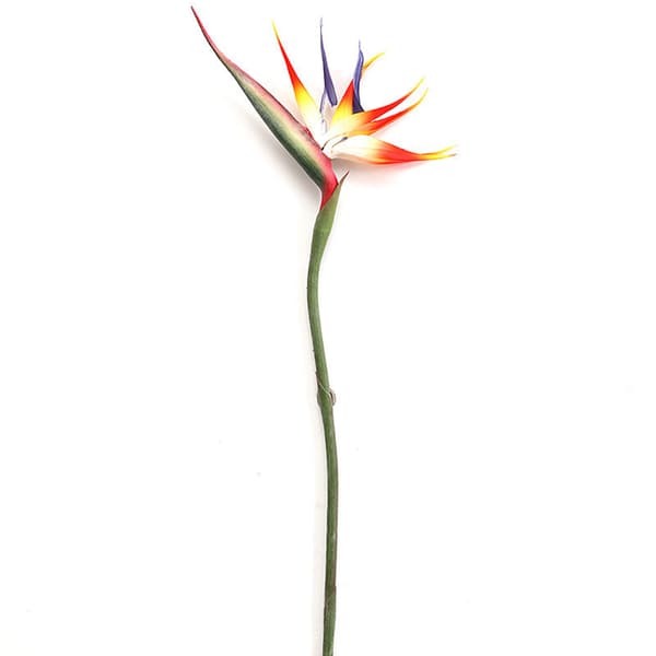 Paradisblomst og Hesperima Simuleringsblomst Arrangement Kunstig Blomst Hjemmedekorasjon 0.5