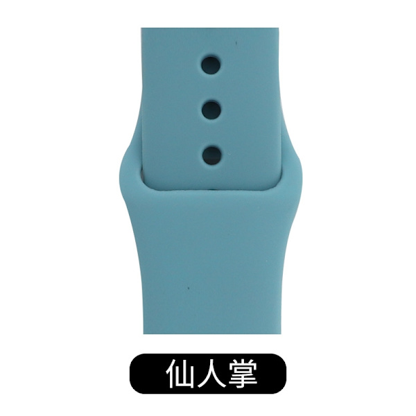 Klockarmband för Apple Watch iWatch 38/40/41/42 S10 SM Standard Cactus