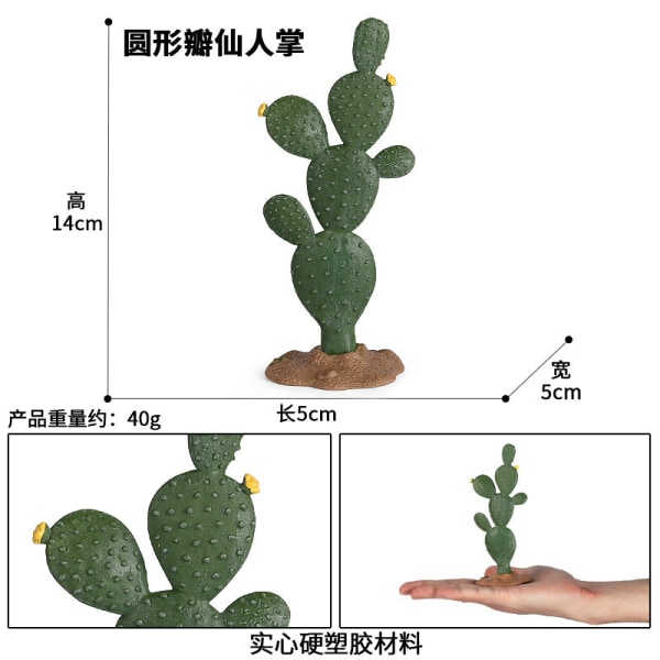 Mikro Landskap Växtdekoration Simulering Kaktus Baobab Äppelträd Stenträd Sand Bordsscen Dekoration Trädmodell Desert coconut tree No. 2 [0.112KG]