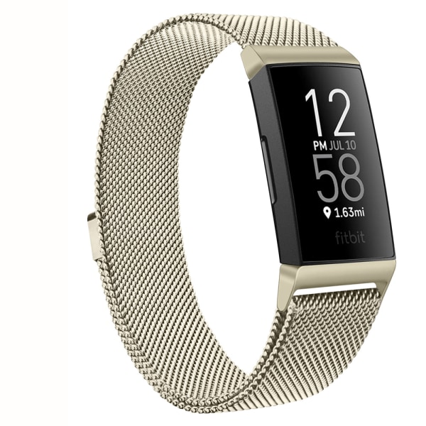 Magnetisk Milanese rem i metal til Fitbit Charge 4 3 udskiftningsarmbånd urrem til Fitbit Charge 3 SE rem mænd kvinder Gray Size S