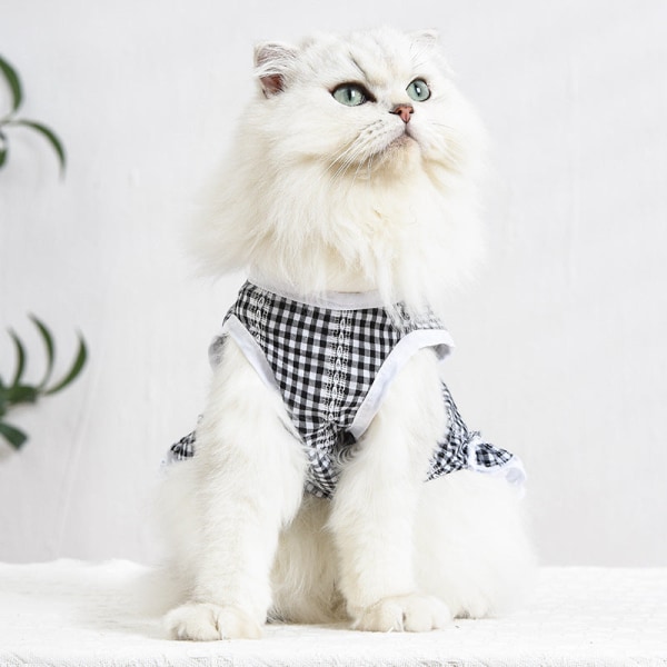 Husdjurskläder Vår och sommar Kattkläder Spets Tartan kjol Tartan skirt-blue and white plaid XXL