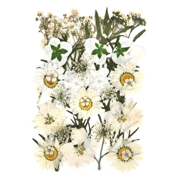 1 Förpackning Torkade Blommor Harts Naturliga Blomsterdekaler Torkad Skönhetsdekal För DIY Epoxiharts Fyllning Smyckesdekoration 17