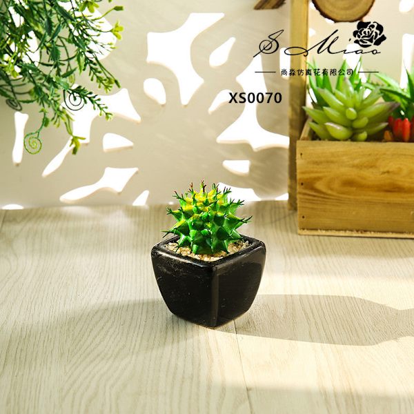 Mini Kunstig Sukkulent Plante Bonsai (Pot Inkluderet) Kreativ Dekoration Kunstig Blomst Yiwu Kunstig Plante Buddha lotus Green red core