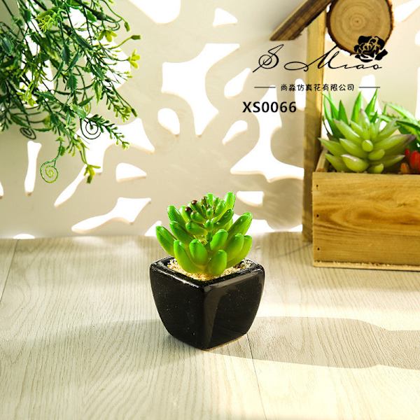 Mini Kunstig Sukkulent Plante Bonsai (Pot Inkluderet) Kreativ Dekoration Kunstig Blomst Yiwu Kunstig Plante Cactus Green