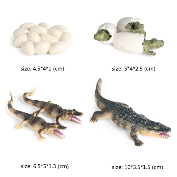 Kognitiva pedagogiska leksaker för barn Simulering Djur Insektsmodell Minidjur Fjäril Tillväxtcykel Ornament Pink
