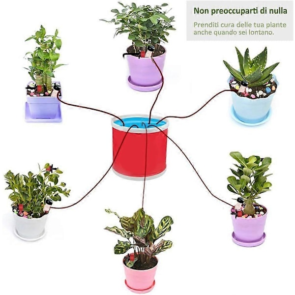 Drypvandingssæt (10 stk.) - Sonde til selvvandende stueplanter, blomster og bonsai - Apparat til hjemlig, automatisk og videnskabelig vanding