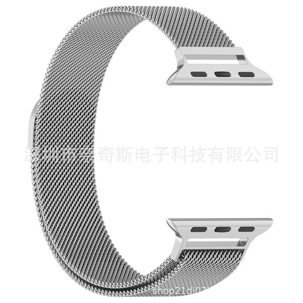 Klockarmband för Apple Watch iWatch 38/40/41mm Silver Regular