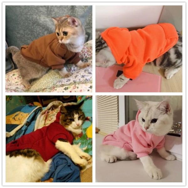 Varmt kæledyrstøj til katte Tøj Efterår Vintertøj til katte Frakke Hvalpeoutfit Kattetøj til katte Hættetrøjer mascotas 8Y45 Coffee S