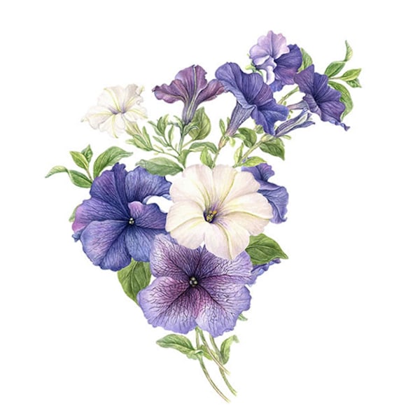 Petunia Kukka WC-tarra Irrotettava Itsekiinnittyvä Vedenpitävä PVC Olohuone Kylpyhuone Seinätaide Kukka WC-istuimen Koriste Tarra