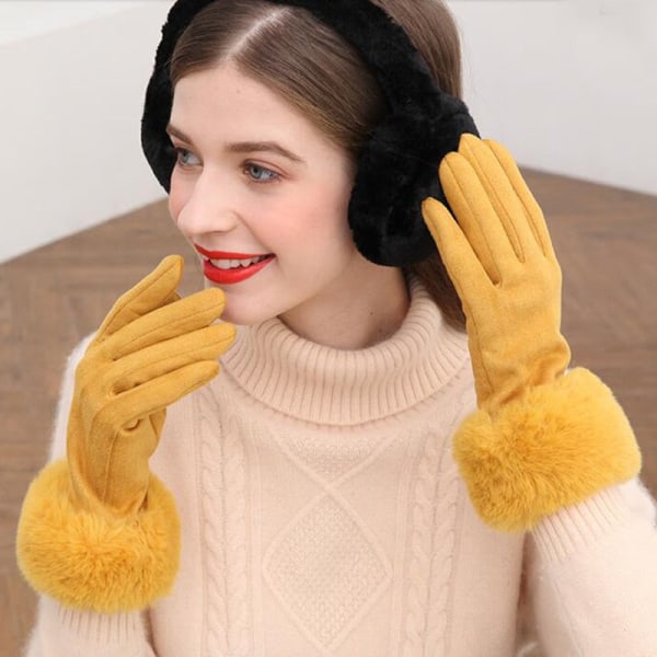 Fashionable dame vinter varme ruskind læder touch screen handske kvinde imiteret kaninpels broderi plus fløjl tykke kørehandsker H92 J23 Light Gray One Size