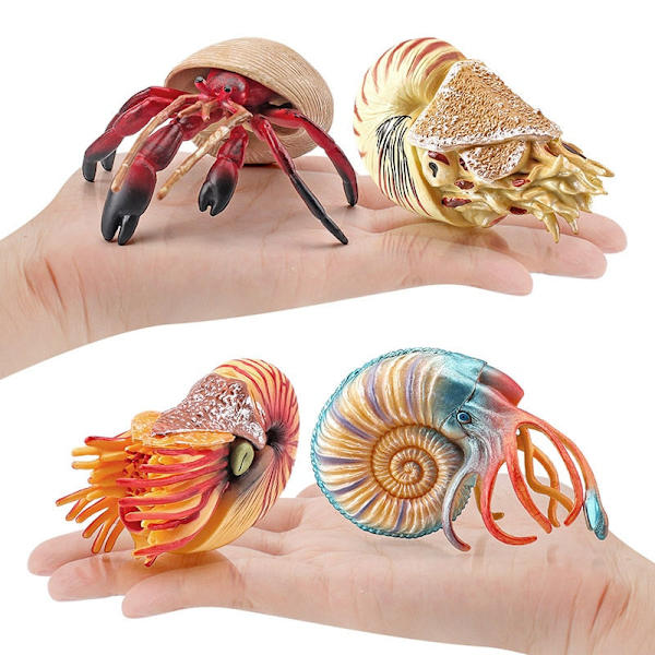 Simuleringsmodel af havdyr, eremitkrebs, nautilus, akvariumpynt, figurer, actionfigurer, børns pædagogiske legetøjsgave A