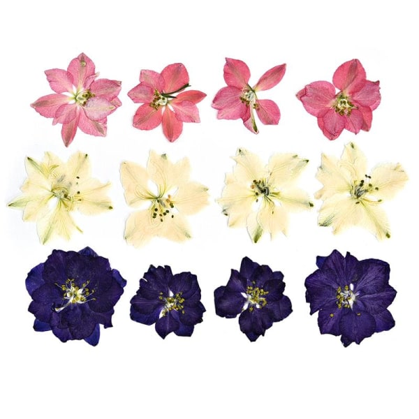 1 Förpackning Torkade Blommor Harts Naturliga Blomsterdekaler Torkad Skönhetsdekal För DIY Epoxiharts Fyllning Smyckesdekoration 17