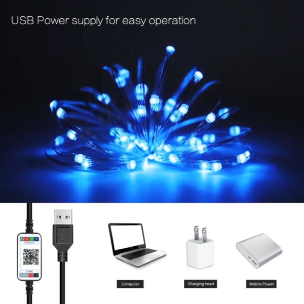 LED Fairy Julbelysning USB-driven Bluetooth Musik Ljusslinga Vardagsrum Trädgård Bröllop Nyår Party Dekoration Girlang Multicolor 0.5m 5leds