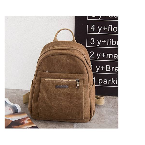 Retro Swagger -laukku polyamidi- ja nylonreppu matkustamiseen tai liiketoimintaan Brown