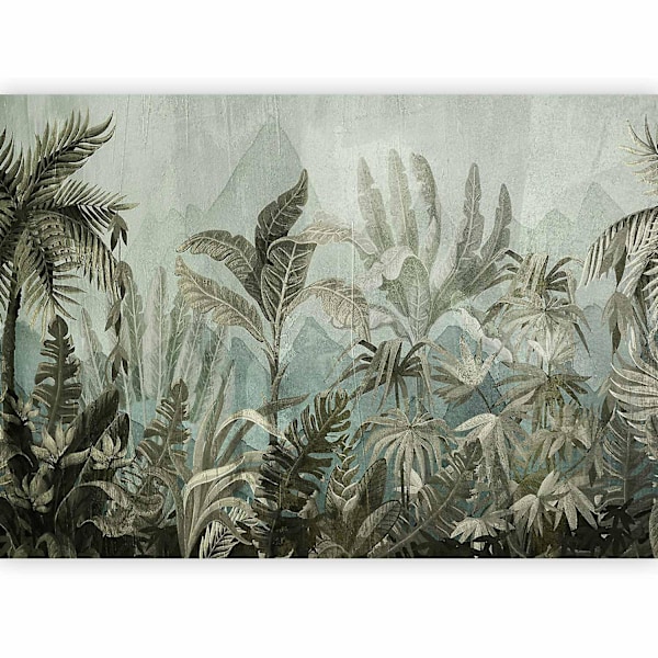 Valokuvatapetti - Vuoristoviidakko 100x70 cm 100x70 cm