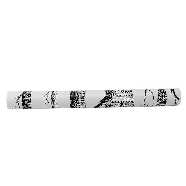 Musta puu -tapetti makuuhuoneeseen, moderni design, olohuoneen tapettirulla, rustiikkiset metsäpuutapetti