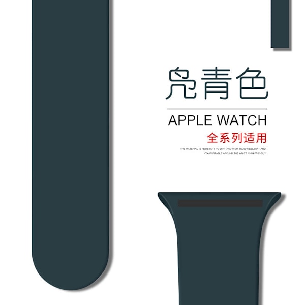 Klockarmband för Apple Watch iWatch 38/40/41/42mm Förlängt/L 74 Teal