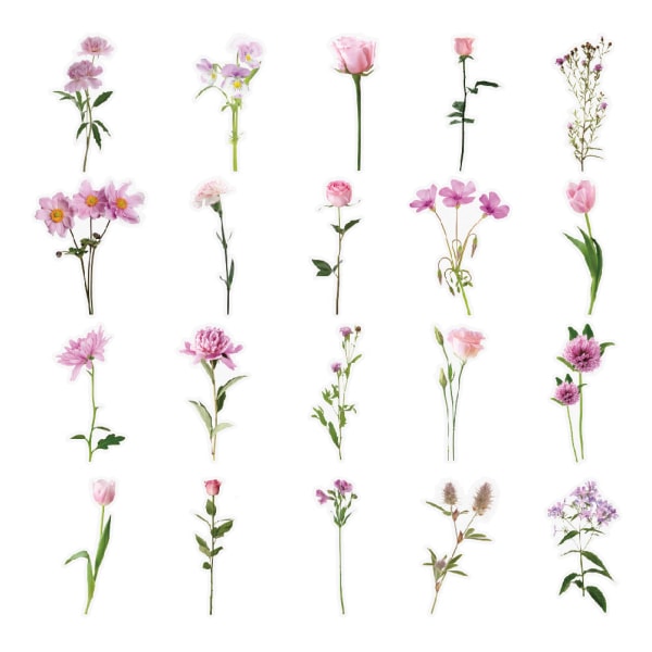 1 stk. Vandtæt Transparent Kæledyrs Notesbog Bullet Dagbog DIY Tulipan Materiale Journal Klistermærker Blomster Klistermærke Pakke Insect
