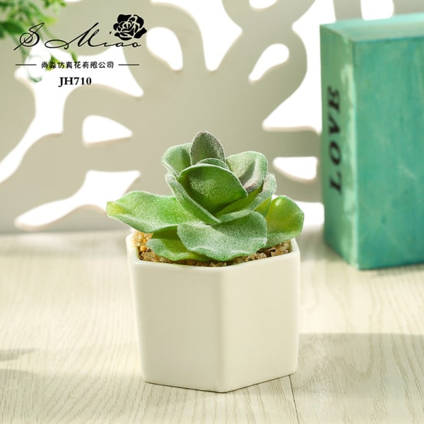 Kunstig sukkulent plante bonsai (potte inkluderet) Kunstig blomst kreativ dekoration kunstig plante Aloe flocking White