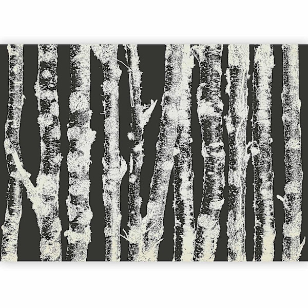 Vægmaleri - Majestætiske Birke - Anden Variant 100x70 cm 100x70 cm