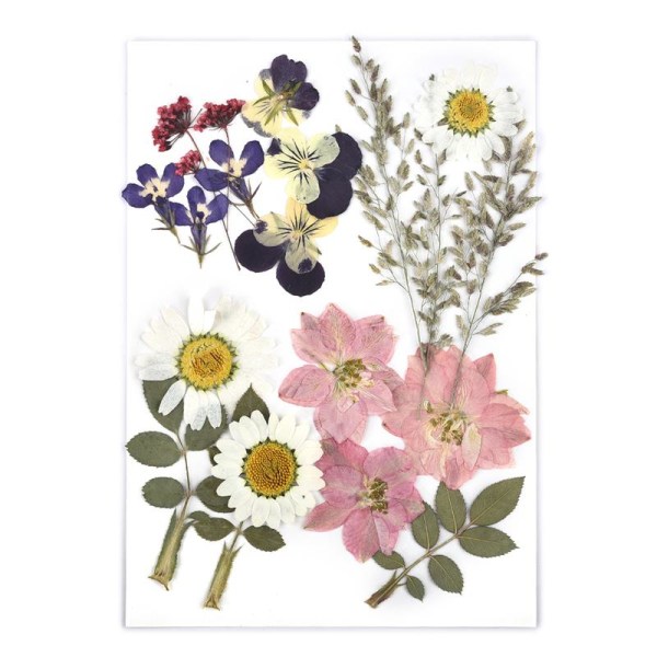 1 Förpackning Torkade Blommor Harts Naturliga Blomsterdekaler Torkad Skönhetsdekal För DIY Epoxiharts Fyllning Smyckesdekoration 08