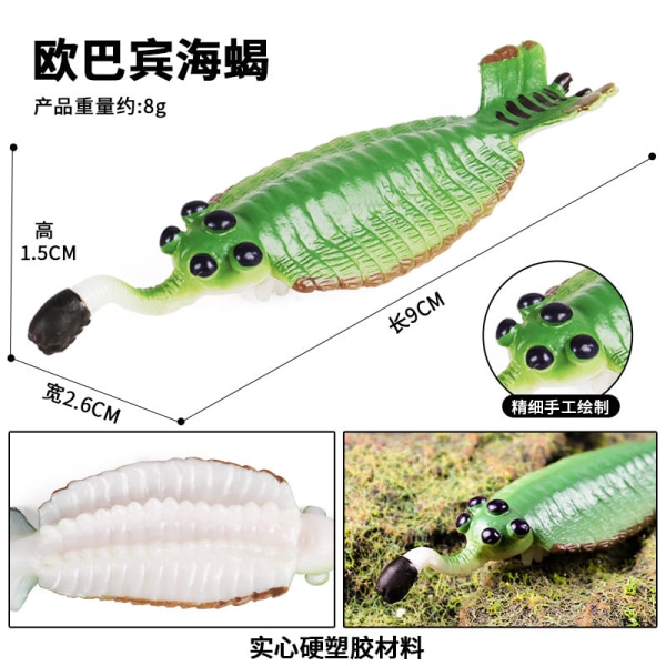 Marin Djurmodell Förhistorisk Trilobit Räka Krysantemum och Sten Kambrisk Nautilidae Plattfot Krabba Barn Pedagogisk Leksaksmodell M-1296 big Nautilidae (pink)