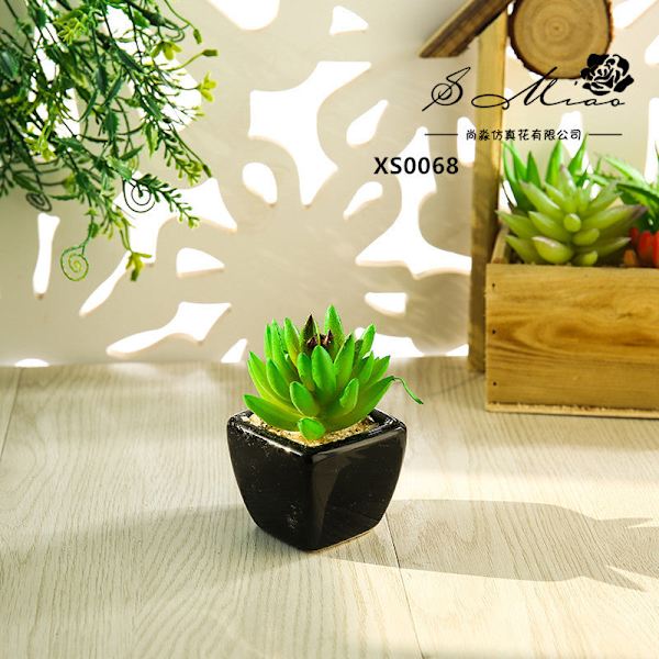 Mini Kunstig Sukkulent Plante Bonsai (Pot Inkluderet) Kreativ Dekoration Kunstig Blomst Yiwu Kunstig Plante Buddha lotus Green red core