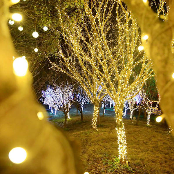 10M 100 Lys Nytår Jul LED Guirlande Lys Juledekoration Lys til Hjemmet Feriedekoration Warm white