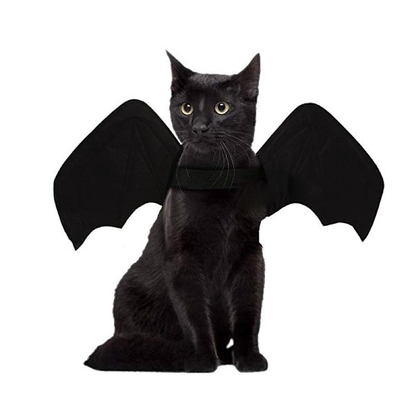 Husdjurskläder Halloween Katt Hund Fladdermusvingar Förvandlingskläder Ordinary B05107 L