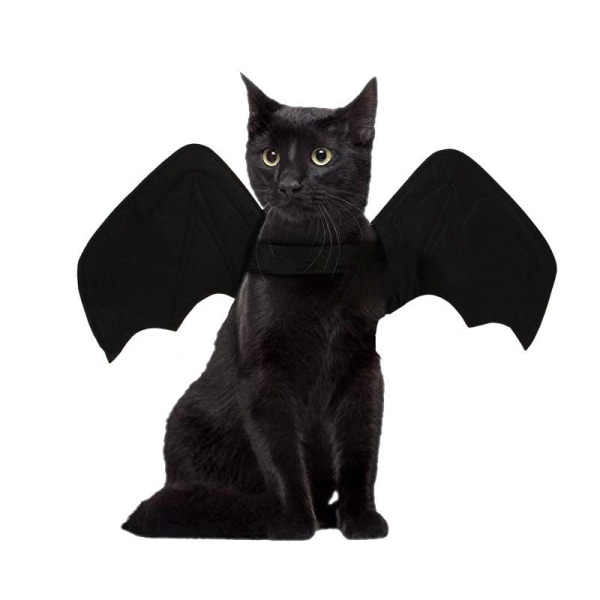 Husdjurskläder Halloween Katt Hund Fladdermusvingar Förvandlingskläder Ordinary B05107 M