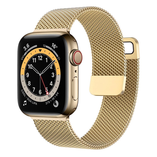 Rem För Apple Watch Band 44mm 40mm 38mm 42mm 44 mm Tillbehör Magnetisk loop Metall smartwatch armband iWatch serie 3 4 5 6 se series 4 gold 42mm or 44mm