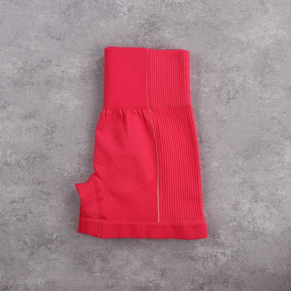 Yoga Set Crop Top BH Shorts Leggings Träningskläder Aktiv Fitness Gym Kläder Red shorts L