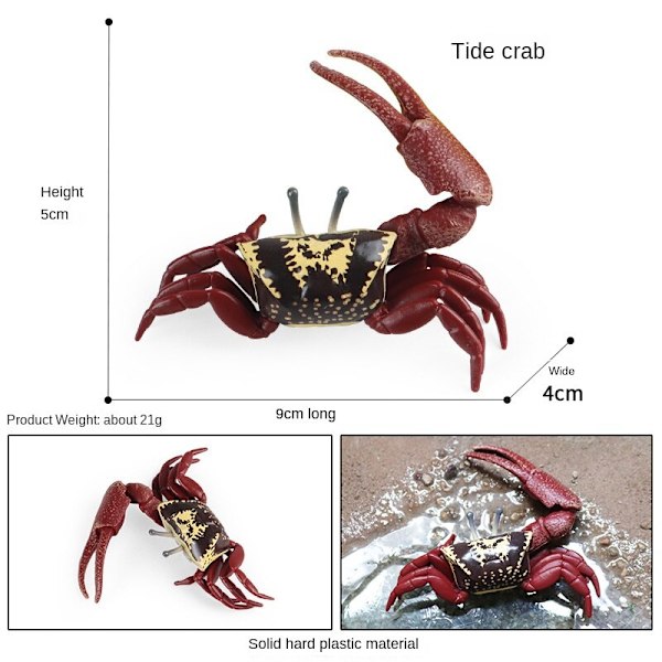 Eremitkräfta Simulering Marin Djur Krabba Ubåtsvarelse Modell Barn Pedagogisk Lärleksak Akvarium Dekoration M-1861 hermit crab