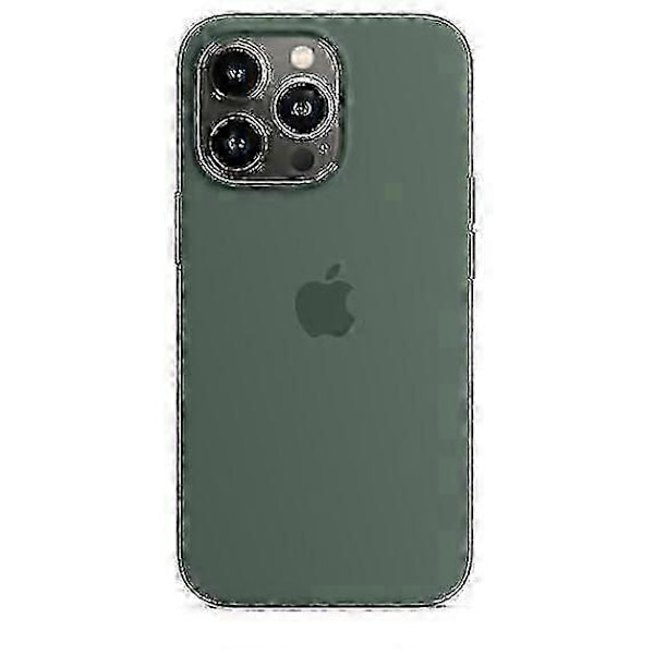 Silikonetui med MagSafe til iPhone 13 Pro Eucalyptus