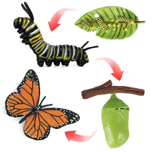 Kognitiva pedagogiska leksaker för barn Simulering Djur Insektsmodell Minidjur Fjäril Tillväxtcykel Ornament Multicolor