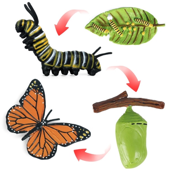 Kognitiva pedagogiska leksaker för barn Simulering Djur Insektsmodell Minidjur Fjäril Tillväxtcykel Ornament Yellow