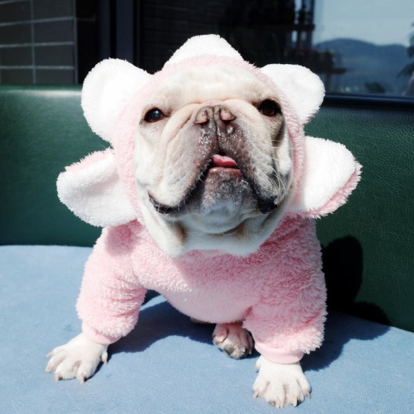 Kæledyrstøj Hund Efterår og Vinter Børstet Hættetrøje Pink 2XL